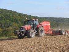 Aussaaat Herbst 2008