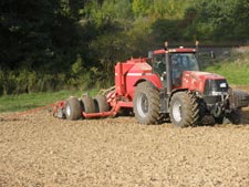 Aussaaat Herbst 2008
