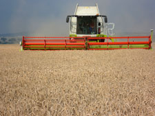 Ernte 2011