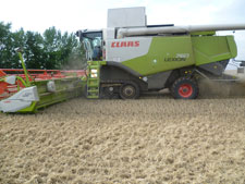 Ernte 2011