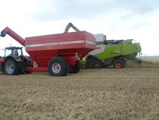 Ernte 2011