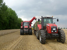 Ernte 2011