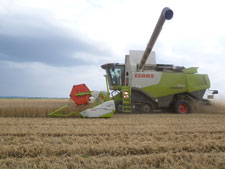 Ernte 2011