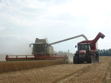 Ernte 2011